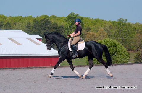 Voziena_Trot